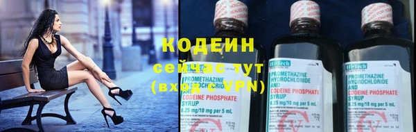 прущие грибы Баксан