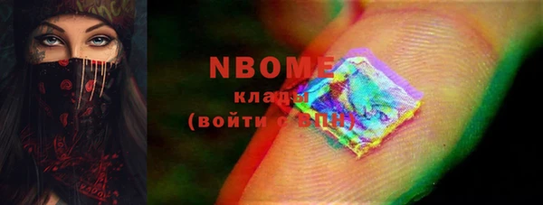 прущие грибы Баксан