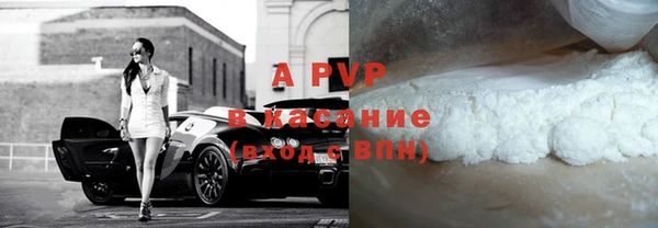 прущие грибы Баксан