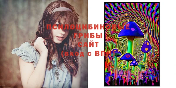 прущие грибы Баксан