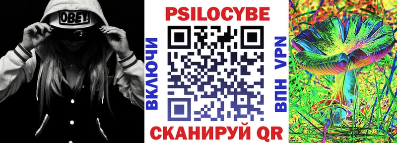 kraken как войти  Слюдянка  Псилоцибиновые грибы мухоморы 